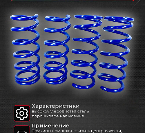 Пружины спортивные Infiniti G35 G37 Q40 Q60 Skyline V36
